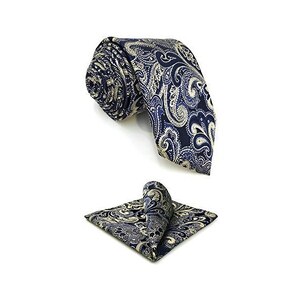 S W SHLAX WING Cravatta Da Uomo Cravatta Blu E Oro Paisley Da Sposa