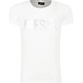 Diesel t-shirt | regular fit