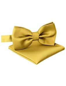 EVRYLON Papillon oro in raso lucido farfallino grande elegante casual per ragazzo con gancio regolabile ottima idea regalo 