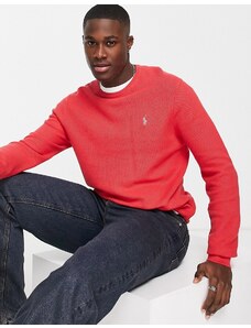 Polo Ralph Lauren - Maglione in maglia di cotone pesante rosso con logo iconico