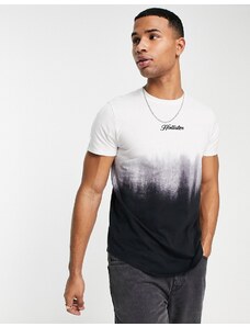 Hollister - T-shirt grigia e bianca con fondo arrotondato e logo sfumato-Grigio