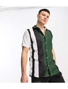 Le Breve Tall - Camicia a righe verdi nere e bianche con colletto con rever-Verde