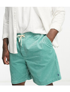 Polo Ralph Lauren Big & Tall - Prepster - Pantaloncini in velluto a coste verde medio con logo