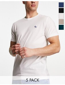 Abercrombie & Fitch - Icon - Confezione da 5 T-shirt nera/blu/verde/beige/bianca con logo-Multicolore