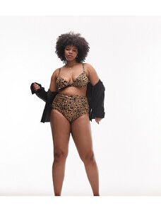 Topshop Curve - Slip bikini a vita alta con stampa leopardata multicolore