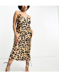 Never Fully Dressed Plus - Vestito sottoveste al polpaccio trasparente con stampa leopardata-Brown