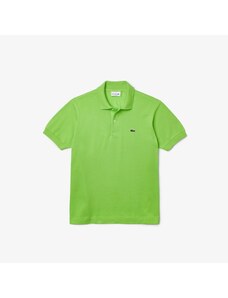 Polo Lacoste Classic Fit : M