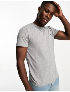 Hollister - T-shirt girocollo grigia con logo a gabbiano-Grigio
