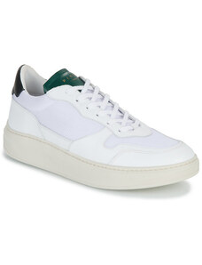 Piola Sneakers CAYMA