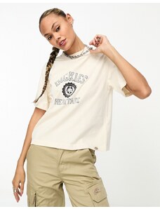 Dickies - Oxford - T-shirt stile college color pietra-Neutro