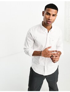 Hollister - Camicia Oxford bianca con tasca e logo iconico-Bianco