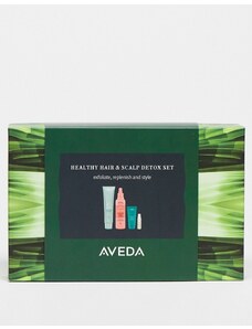 Aveda - Healthy Hair & Scalp Detox - Set regalo di prodotti per i capelli (Risparmia il 33%)-Nessun colore