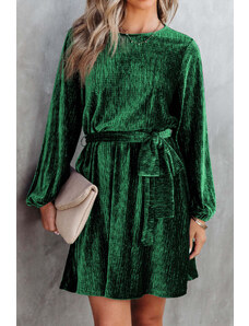 Robingly Green Crinkle Velvet Tie Waist Puff Sleeve Mini Dress