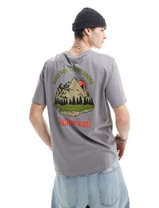 Timberland - T-shirt oversize grigia con stampa di paesaggio di montagna sul retro-Grigio