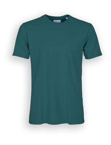 T-Shirt Colorful Standard Cotone Organico Verde Ac