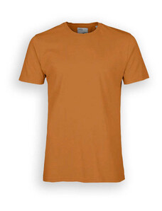 T-Shirt Colorful Standard Cotone Organico Ginger U