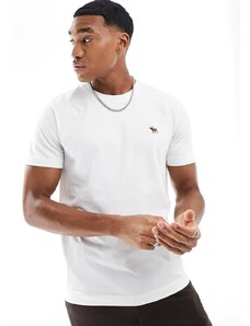 Abercrombie & Fitch - Lifelike Icon - T-shirt bianca con logo-Bianco