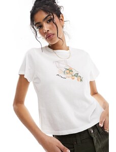 Abercrombie & Fitch - T-shirt ristretta bianca con stampa di arance al centro-Bianco