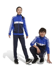 Tuta blu e bianca da bambino con pantaloni blu scuro adidas Essentials 3-Stripes Tiberio