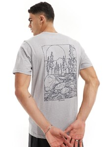 Columbia - Rapid Ridge - T-shirt grigia con stampa sul retro-Grigio