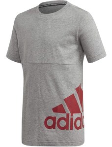 Adidas T-Shirt Must Have a Badge kids