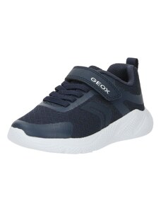 GEOX Sneaker Sprintye