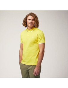 POLO HARMONT & BLAINE Uomo