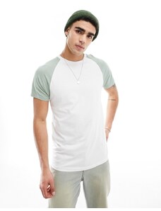 Brave Soul - T-shirt bianca e verde con maniche raglan-Bianco