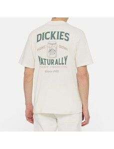 DICKIES - T-shirt Elliston - Taglia: M,Colore: Avorio
