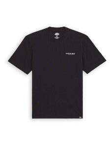 T-Shirt Dickies Wakefield Nero,Nero | DK0A4YRCBLK1