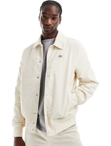 Dickies - Chase City - Giacca color crema-Bianco