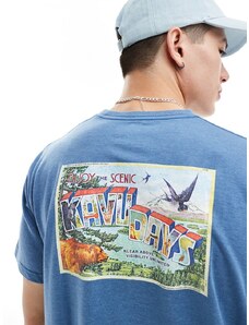 Kavu - T-shirt blu con stampa grafica sulla schiena