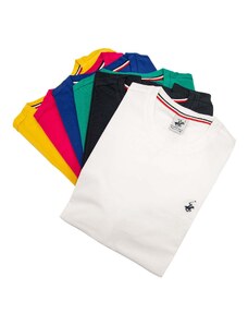 BEVERLY HILL`S POLO CLUB T-shirt in vari colori
