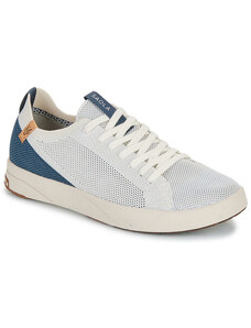 Saola Sneakers CANNON KNIT 2.1