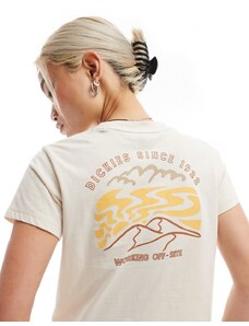 Dickies - Saltville - T-shirt corta beige-Bianco