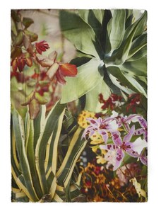 Faliero Sarti sciarpa BOTANIC con stampa floreale