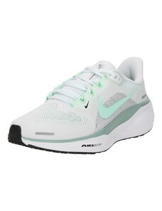 NIKE Scarpa da corsa Pegasus 41