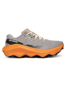 Scarpe running Salomon