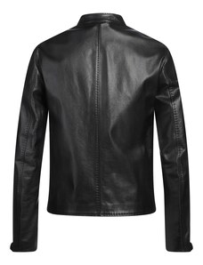 GAZZARRINI CAPISPALLA