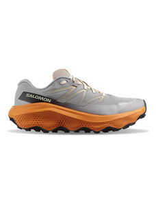 Salomon Ultra Flow 2 GTX Uomini - Sneakers Salomon - Grigio - L47884200-7.5
