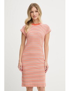 Forever New Curve Vestiti da giorno corto con fondo morbido a