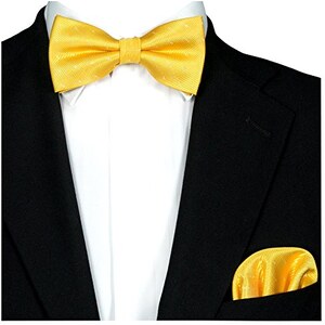 GASSANI 2 Set Papillon Uomo Elegante Panna a Punti Argento, Papillon
