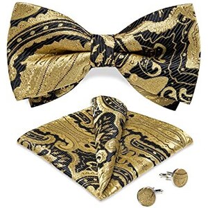 Nœud Papillon Pré-Noué DiBanGu Pour Homme Avec Pochette & Boutons De Manchette - Soie Jacquard Pour Mariage, Fête - 5