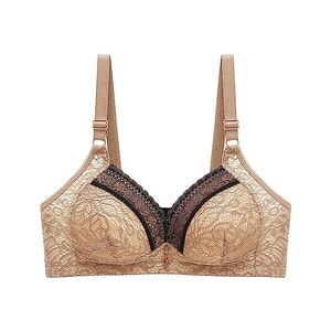 Reggiseno Push Up Senza Ferretto - Desiderio Pizzo Coppa B - Lormar - Falco Biancheria