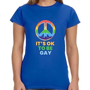 I Simboli Dell'arcobaleno Di Concetto Di LGBT Delle Icone Di Orgoglio E Del Cuore Dei Diritti Uguaglianza Includono Lesbico Gay Il Image135219367