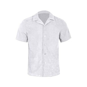 Camicia Uomo Hanes A Maniche Lunghe – Tinta Unita Arcobaleno – 100% Cotone - Foto 3