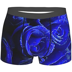 934 Uomo Boxer Slip Bandiera Norvegese13 Intimo Aderenti Boxer Leggeri Slip Mutande Xl 124797657