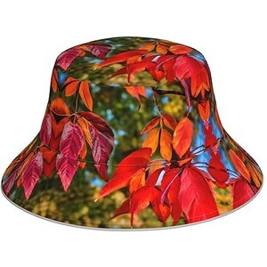 Cappello Pescatore Uomo Lyle&scott Bucket Hat Cappelli Nencini