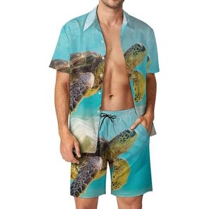 Tartaruga Di Mare Verde Hawaiana (honu, Mydas Di Chelonia) Immagine - Foto 10