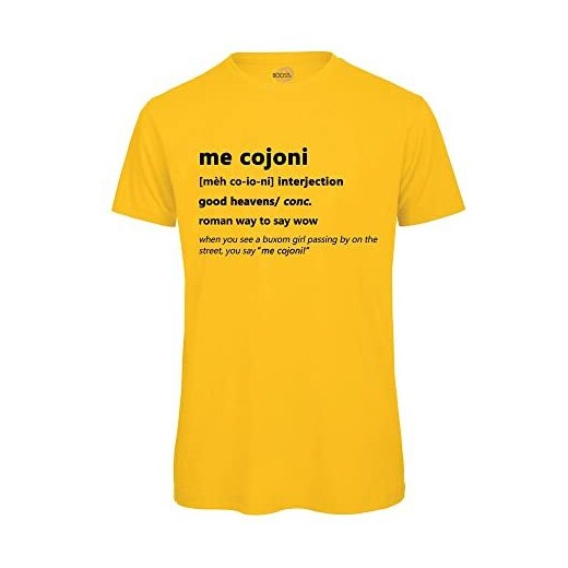 Boostit T-Shirt Uomo Me COJONI Dizionario Romano Regalo Simpatico  Divertente Maniche Corte 100% Cotone Biologico (Giallo,M) 